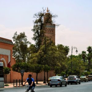Excursión a Marrakech