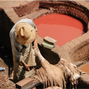 Visita guiada privada por Fez